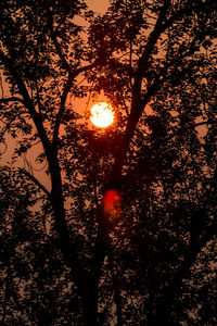 Low angle view of silhouette trees against sky during sunset