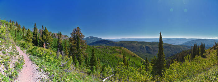 scenics - nature