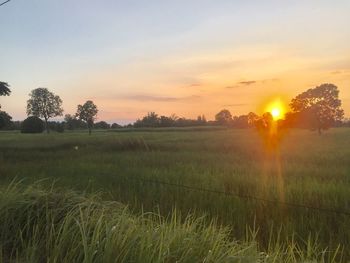 Scenic view of field against sky during sunset