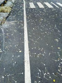 High angle view of road marking on street