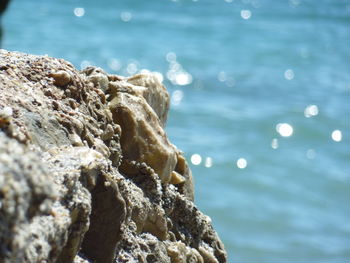 Close-up of sea against sky