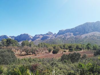 Scenic view of mountains against clear sky