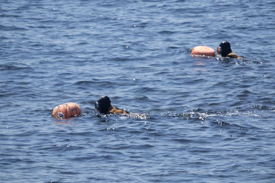 People swimming in sea