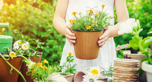 Midsection of woman holding potted plant