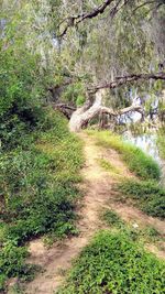Scenic view of landscape