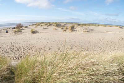 Scenic view of beach against sky