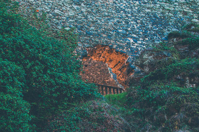 High angle view of trees and buildings