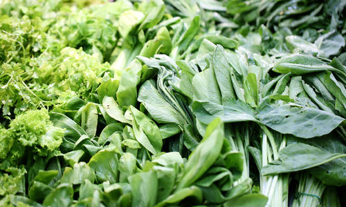 Full frame shot of fresh green vegetables in market