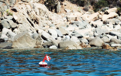 View of ducks swimming in sea