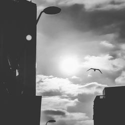 Low angle view of birds flying against sky