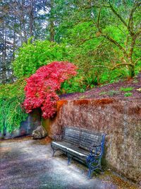 Red flowers growing on tree