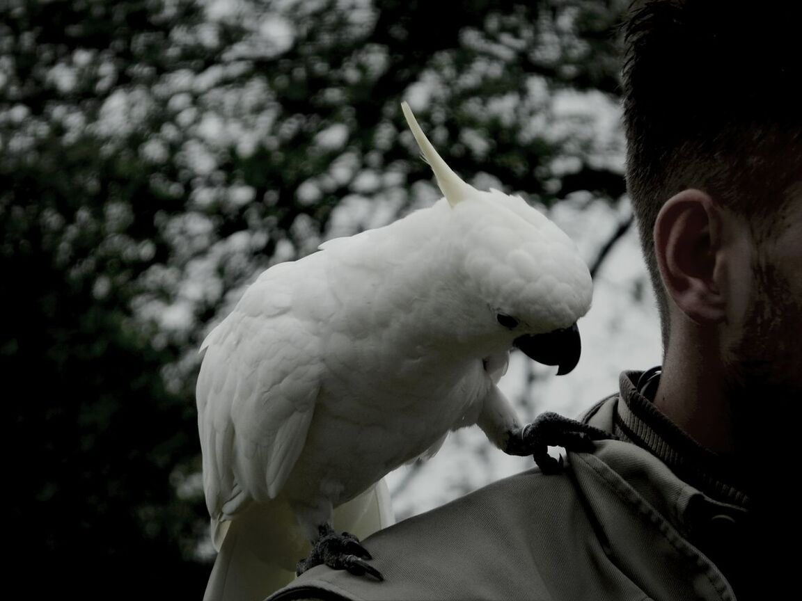 Weltvogelpark Walsrode