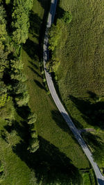 High angle view of agricultural field