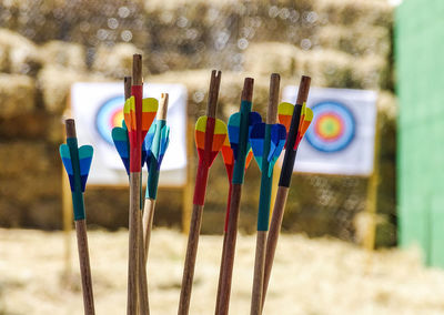 Close-up of multi colored arrows on field