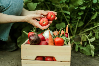 Midsection of woman holding fruits on table