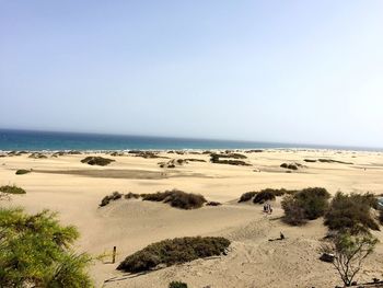 Scenic view of beach against clear sky