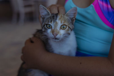 Cat on hand