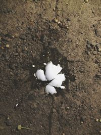 High angle view of footprint on beach