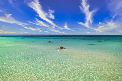 Beautiful coral reef sea in okinawa