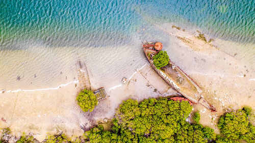 High angle view of plants at beach