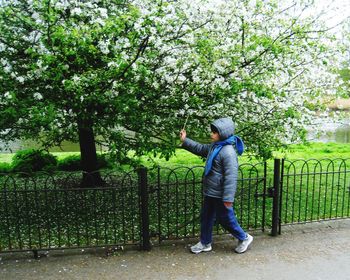 Rear view of a man standing on tree