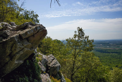 Rock cliffs against trees and sky in background