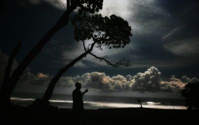 Silhouette of trees against cloudy sky