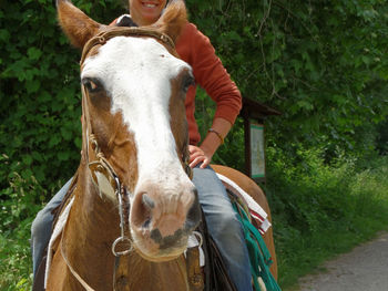 Portrait of horse on field