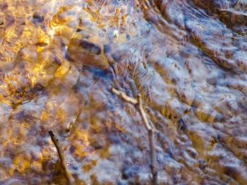 Full frame shot of rocks in sea