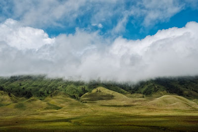 Scenic view of landscape against sky