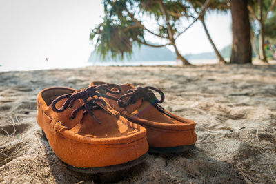 Orange sneaker relax on sand.