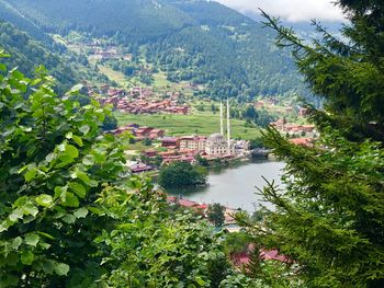 High angle view of townscape and trees in city