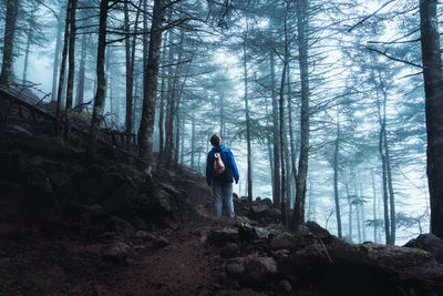 Man standing amidst trees in forest