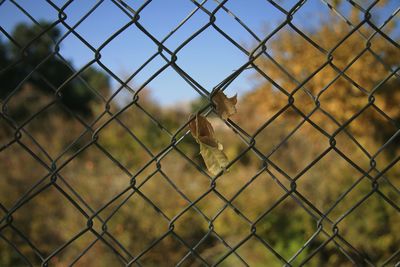 View of chainlink fence