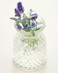 Close-up of purple flowers in glass jar on table