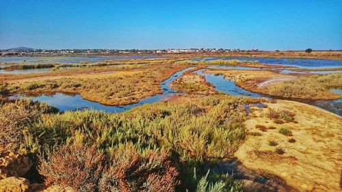 Scenic view of landscape against clear sky