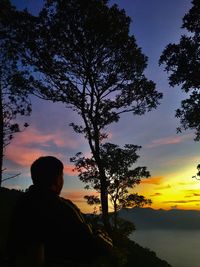 Silhouette man standing by tree against sky during sunset