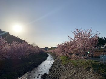 Panoramic view of landscape against sky