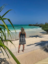 Rear view of man on beach against clear sky