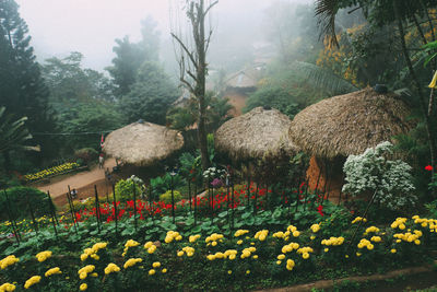 View of flowering plants against clear sky