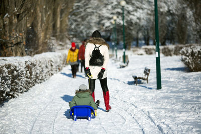 Rear view of boys in snow