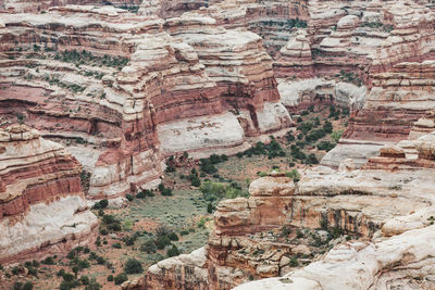 Looking down at the layered red rock canyon walls of the maze utah