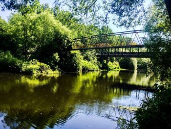 Bridge over river against trees