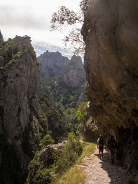 Rear view of people walking on mountain road