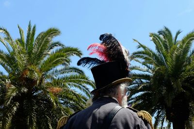 Low angle view of trees against sky