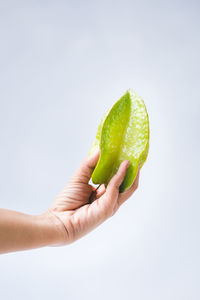 Cropped image of hand holding fruit against white background