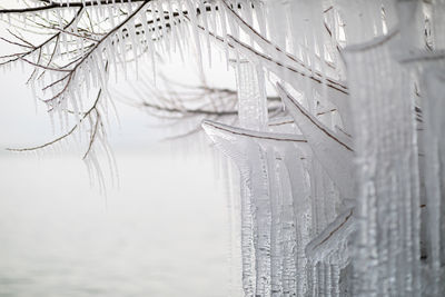 Close-up of frozen water