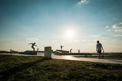 Man and birds on grass against sky