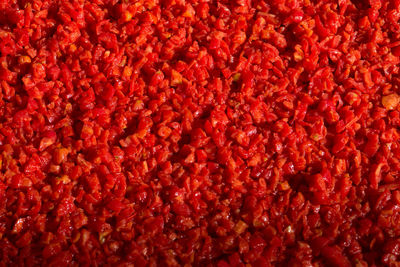 Full frame shot of red food