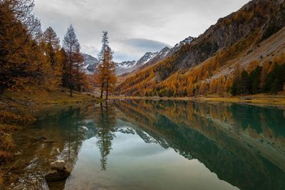 Scenic view of lake by trees against sky